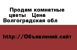 Продам комнатные цветы › Цена ­ 2 000 - Волгоградская обл.  »    